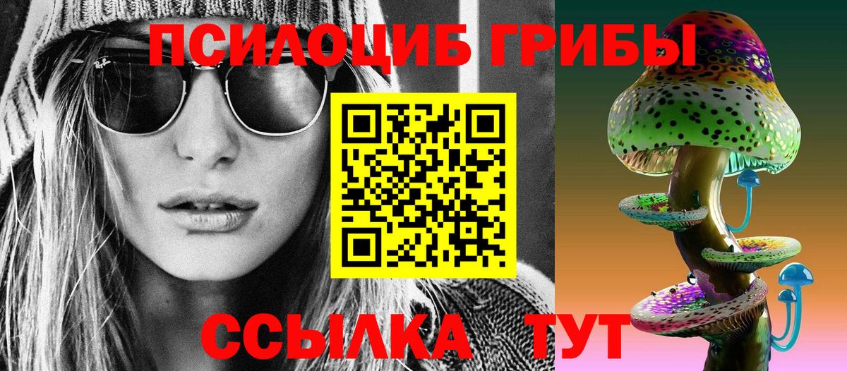 как найти наркотики  Вход с VPN  Азнакаево  Галлюциногенные грибы Psilocybine cubensis 